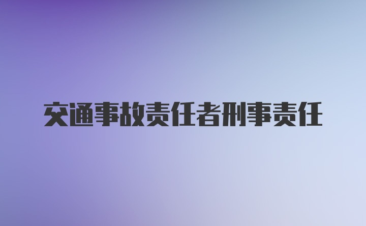 交通事故责任者刑事责任