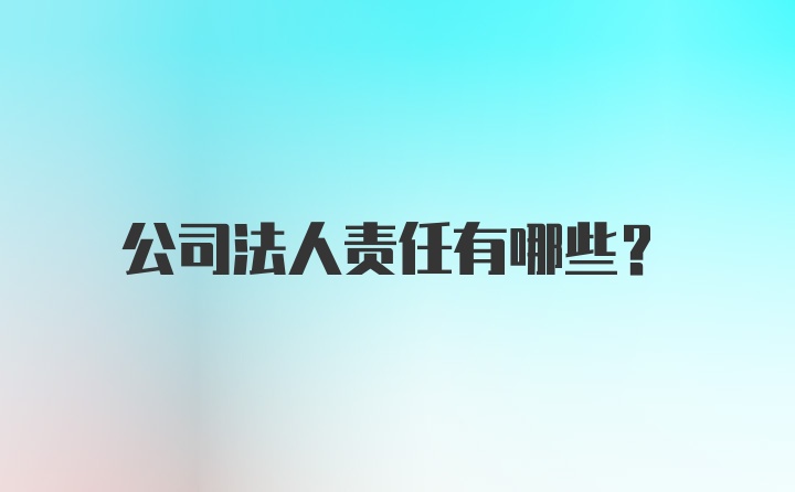 公司法人责任有哪些？