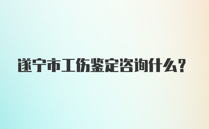 遂宁市工伤鉴定咨询什么？