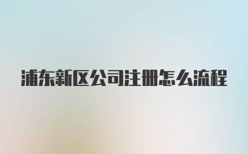 浦东新区公司注册怎么流程