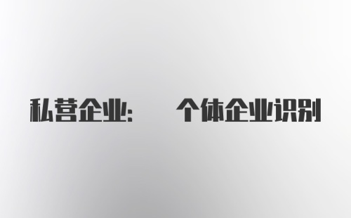 私营企业: 个体企业识别