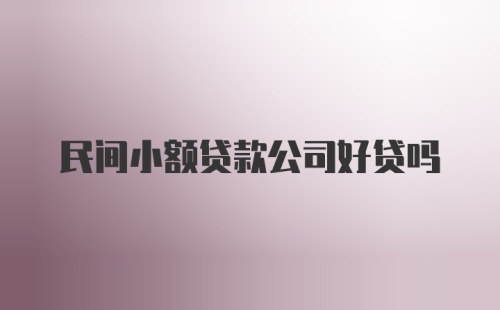 民间小额贷款公司好贷吗