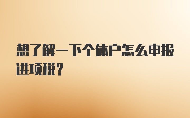 想了解一下个体户怎么申报进项税?