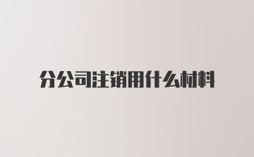 分公司注销用什么材料