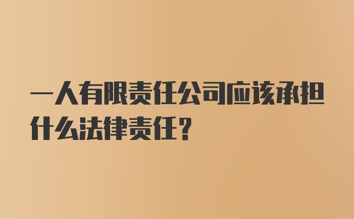 一人有限责任公司应该承担什么法律责任?