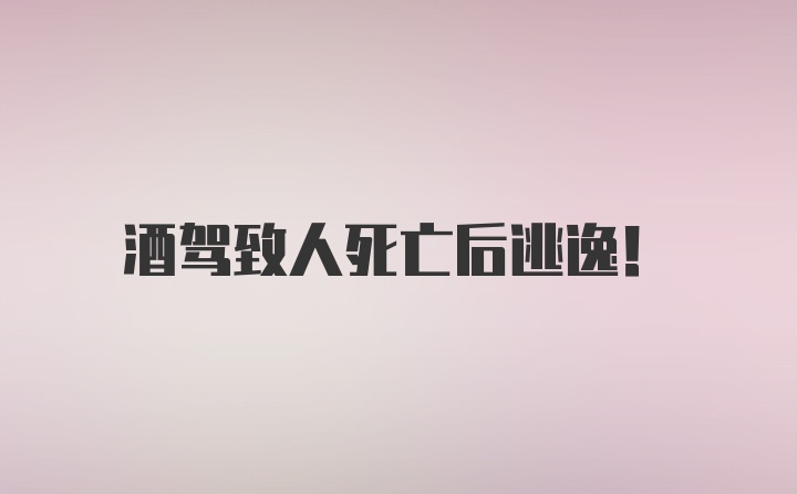 酒驾致人死亡后逃逸！