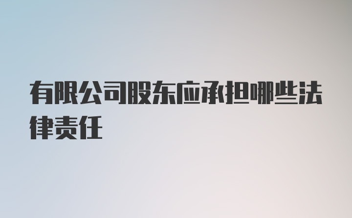 有限公司股东应承担哪些法律责任