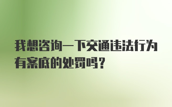 我想咨询一下交通违法行为有案底的处罚吗？