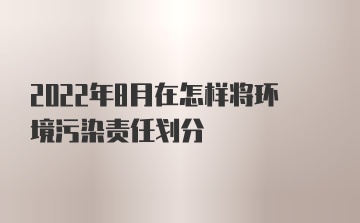 2022年8月在怎样将环境污染责任划分