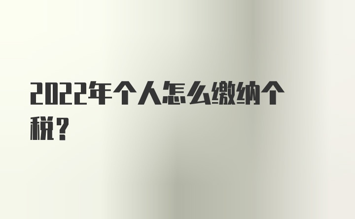 2022年个人怎么缴纳个税？