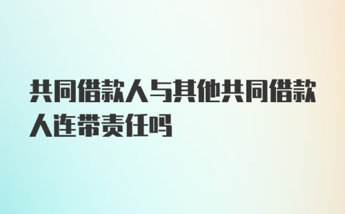 共同借款人与其他共同借款人连带责任吗