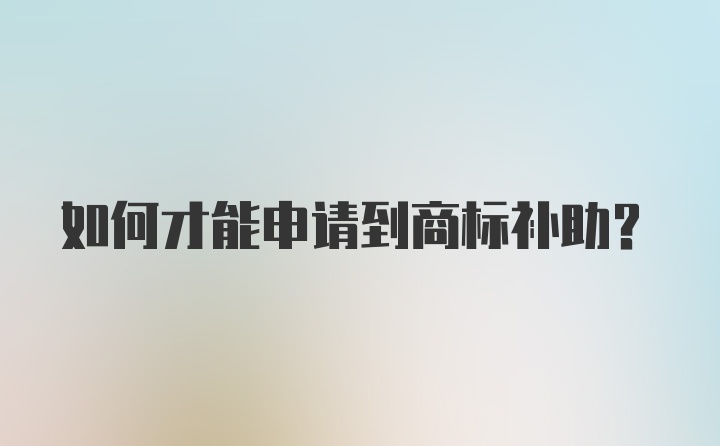 如何才能申请到商标补助？