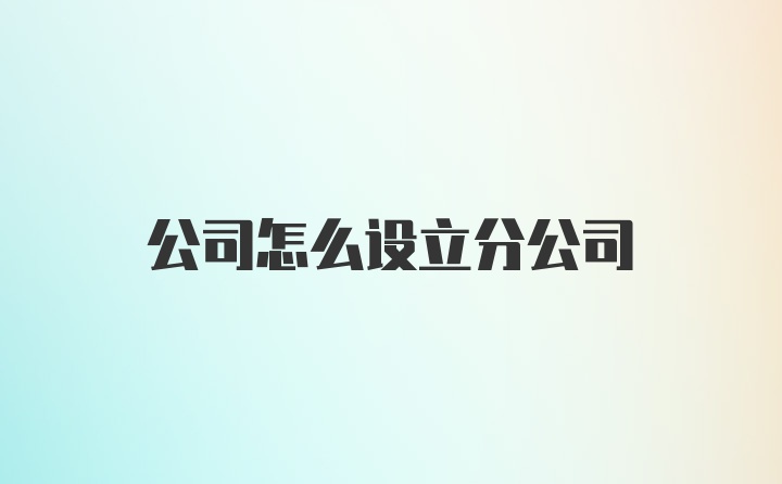 公司怎么设立分公司