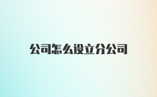 公司怎么设立分公司