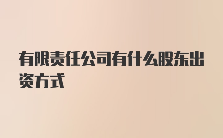 有限责任公司有什么股东出资方式