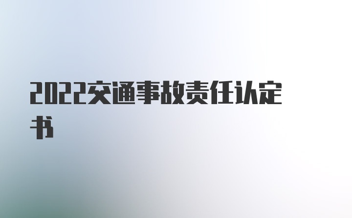 2022交通事故责任认定书