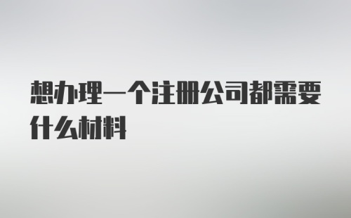 想办理一个注册公司都需要什么材料