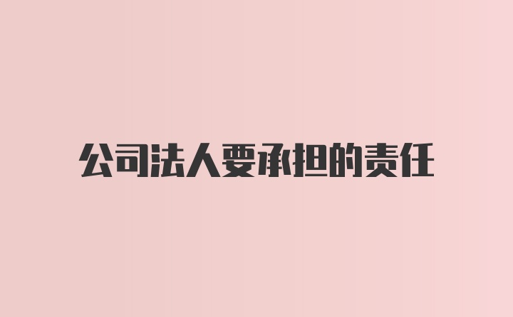 公司法人要承担的责任