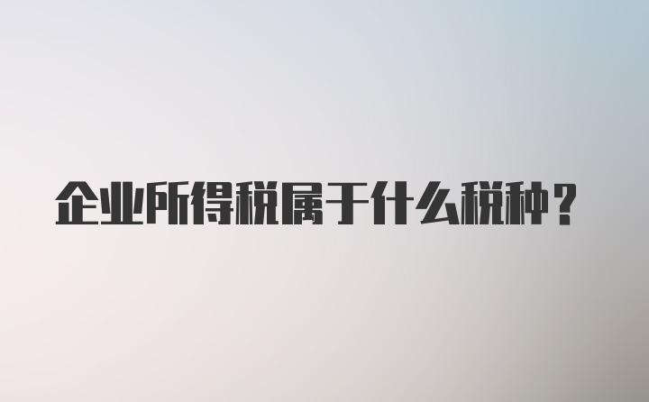 企业所得税属于什么税种？