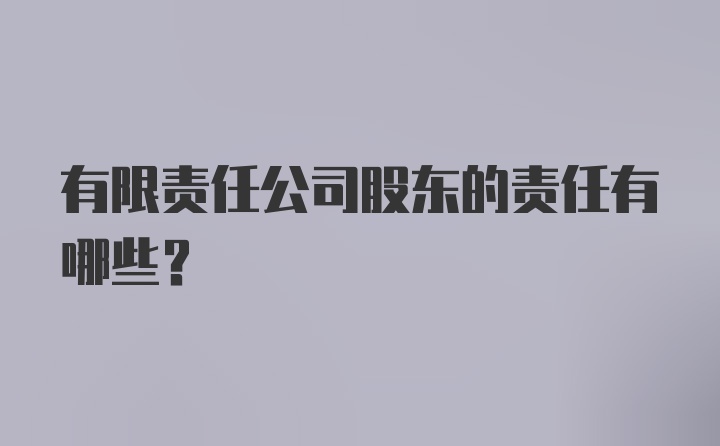 有限责任公司股东的责任有哪些？