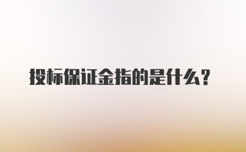 投标保证金指的是什么？