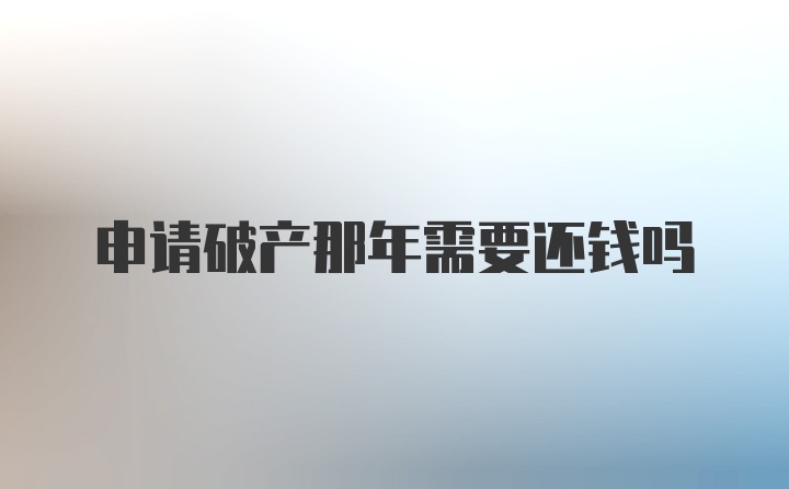 申请破产那年需要还钱吗