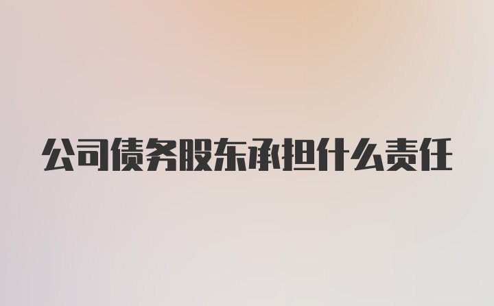 公司债务股东承担什么责任