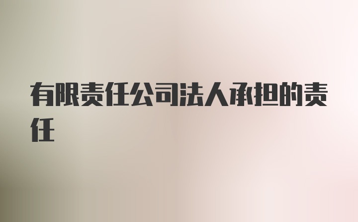 有限责任公司法人承担的责任