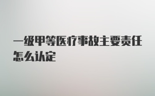 一级甲等医疗事故主要责任怎么认定