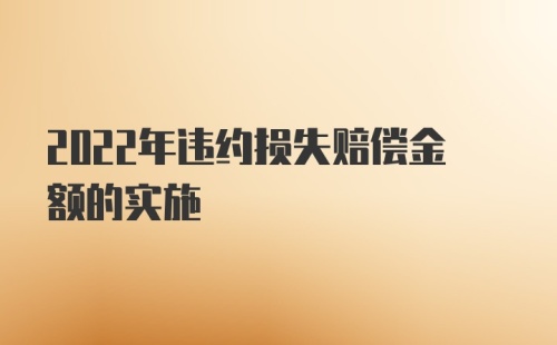 2022年违约损失赔偿金额的实施