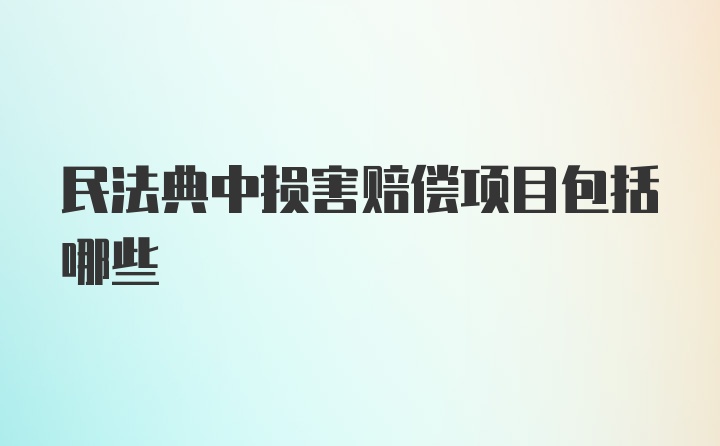 民法典中损害赔偿项目包括哪些