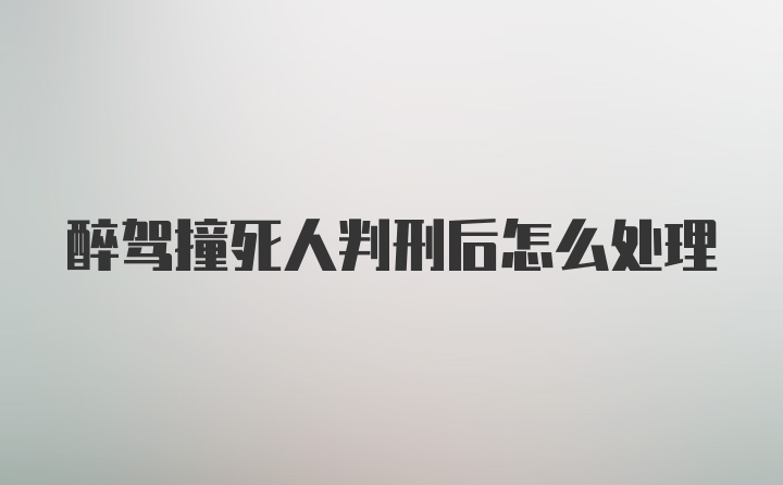 醉驾撞死人判刑后怎么处理