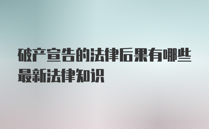 破产宣告的法律后果有哪些最新法律知识