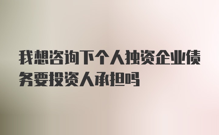 我想咨询下个人独资企业债务要投资人承担吗