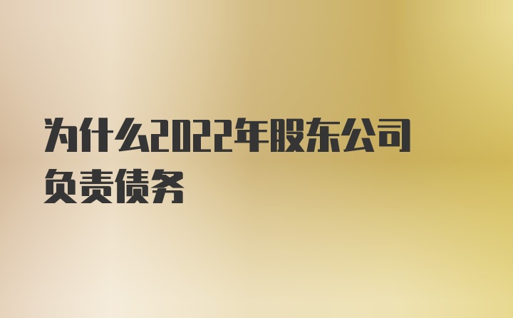 为什么2022年股东公司负责债务