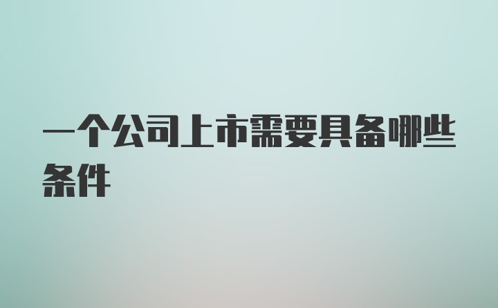 一个公司上市需要具备哪些条件