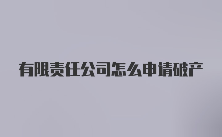 有限责任公司怎么申请破产