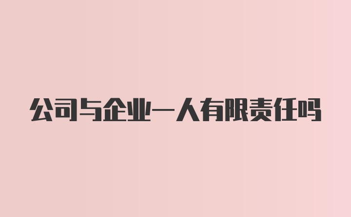 公司与企业一人有限责任吗