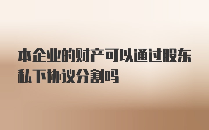 本企业的财产可以通过股东私下协议分割吗