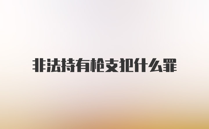 非法持有枪支犯什么罪