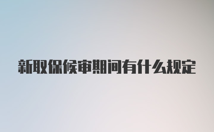 新取保候审期间有什么规定