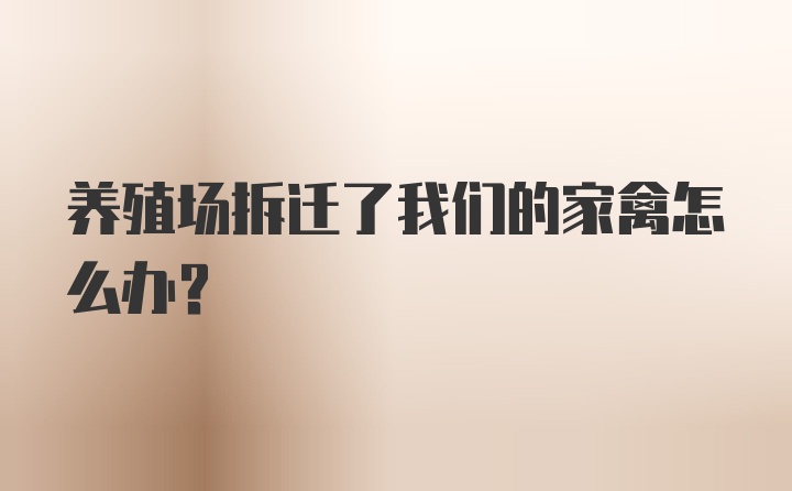 养殖场拆迁了我们的家禽怎么办？