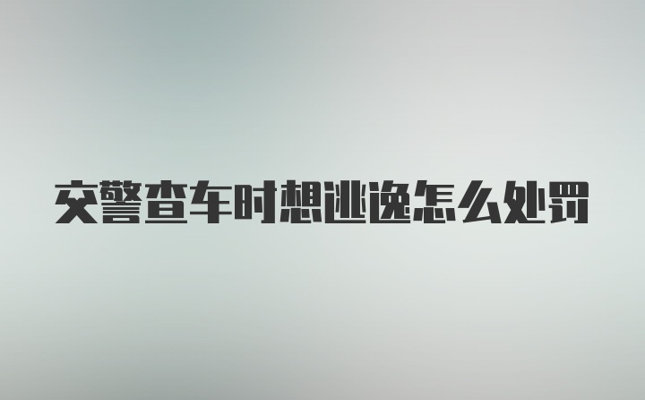 交警查车时想逃逸怎么处罚