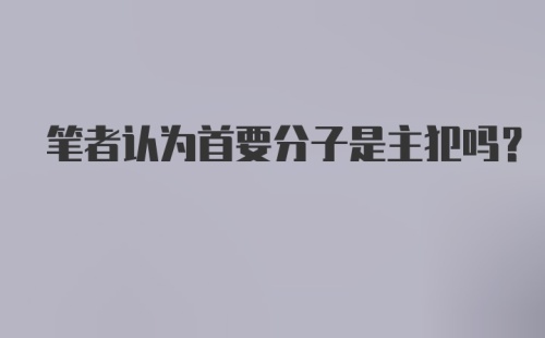 笔者认为首要分子是主犯吗？