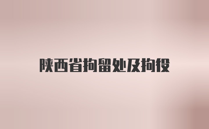 陕西省拘留处及拘役