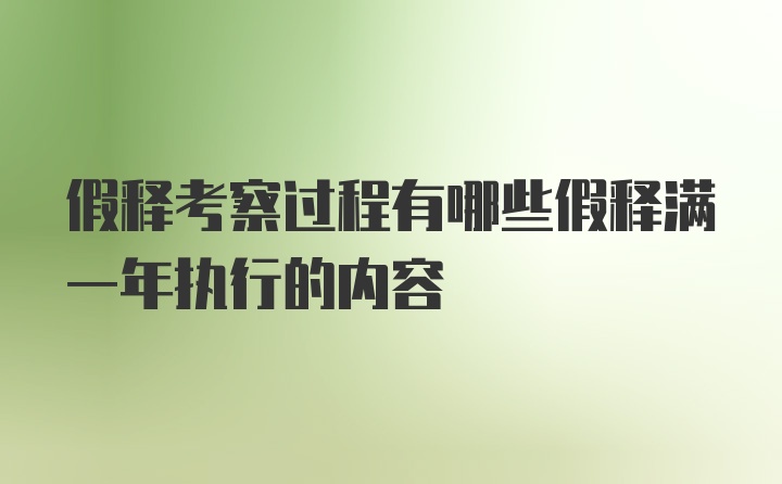 假释考察过程有哪些假释满一年执行的内容