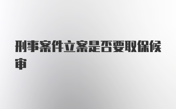 刑事案件立案是否要取保候审