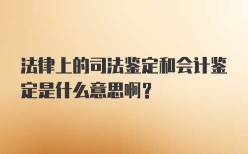 法律上的司法鉴定和会计鉴定是什么意思啊？