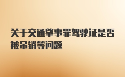 关于交通肇事罪驾驶证是否被吊销等问题