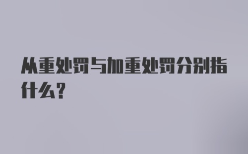 从重处罚与加重处罚分别指什么？